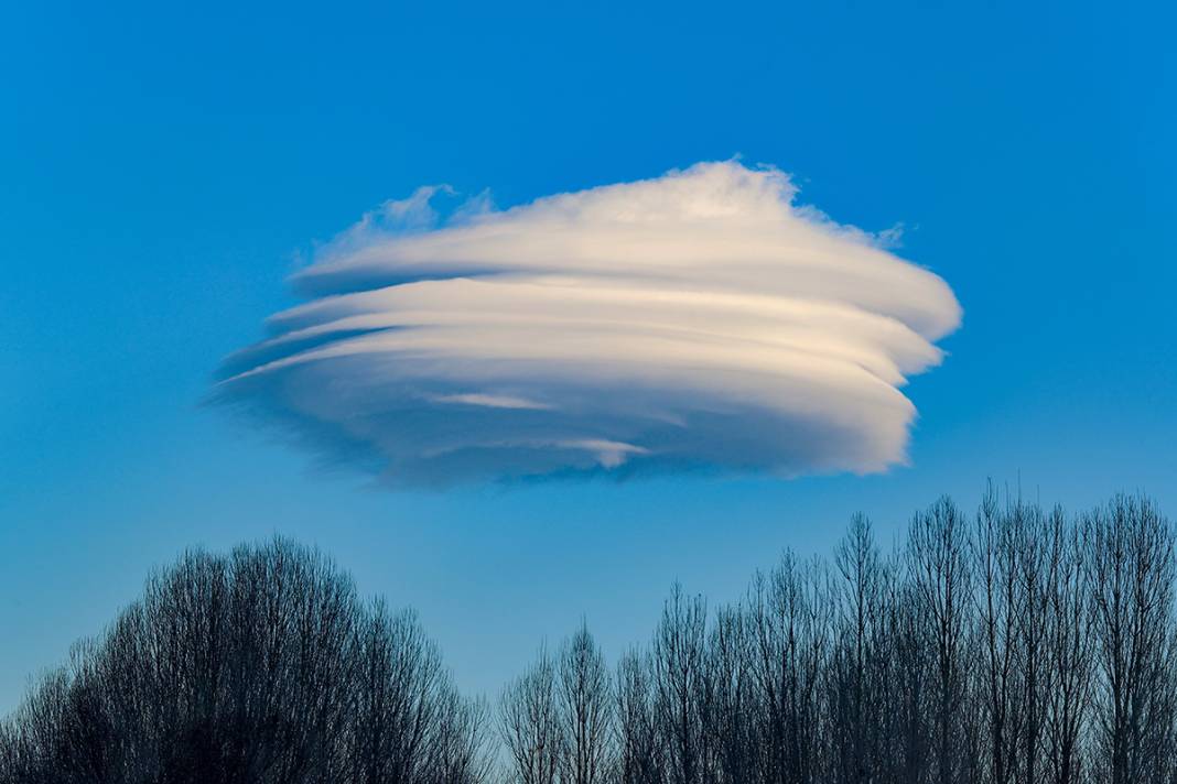 Van'da ilginç manzara! Saatlerce aynı yerde kaldı 3